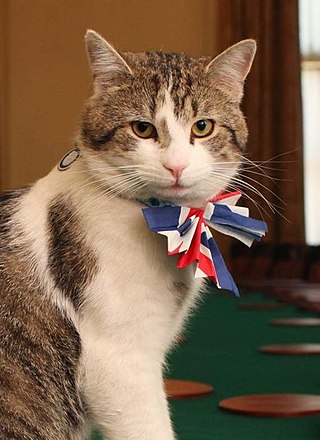 <span class="mw-page-title-main">Larry (cat)</span> Chief Mouser to the Cabinet Office since 2011
