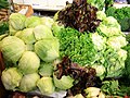 Many heads of different types of lettuce