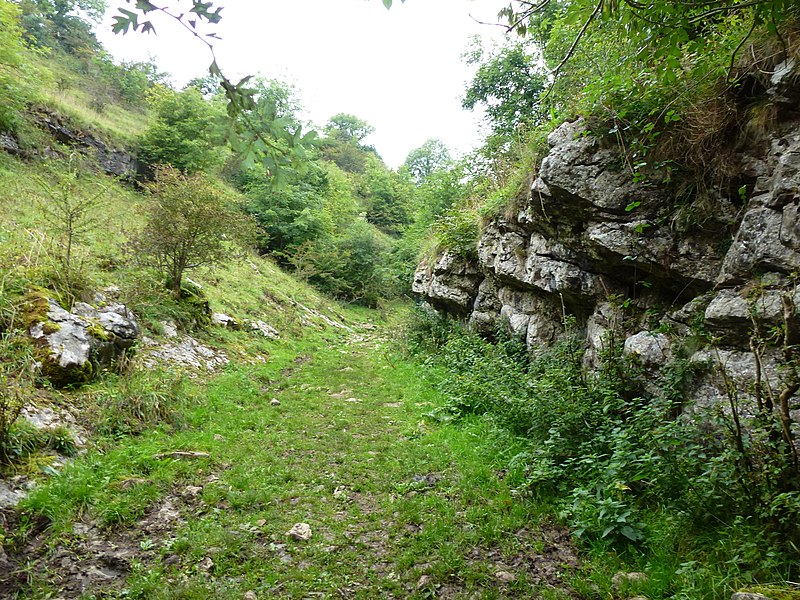 File:Limestone outcrops in Peter Dale - geograph.org.uk - 3667769.jpg