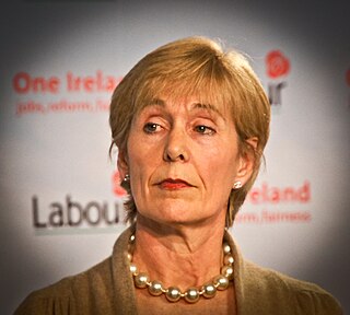 <span class="mw-page-title-main">Liz McManus</span> Irish former Labour Party politician (b. 1950)