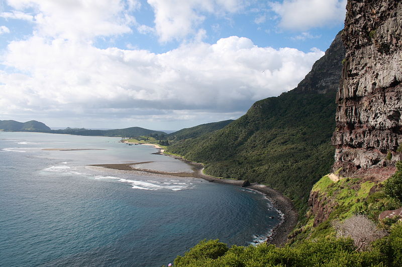 File:LordHoweIsland MtGower 408.JPG