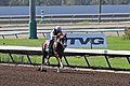 Los Alamitos Sept 2014 IMG 6798 edited-1 (15317821465).jpg