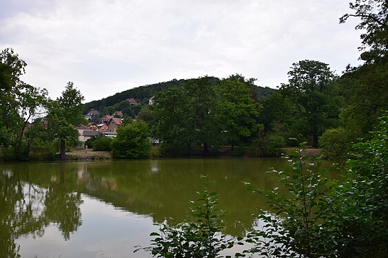 A pond in Pillnitz palace garden