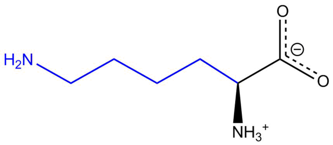 Lysine