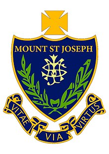 MSJ LOGO.jpg