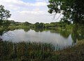 Čeština: Malý chlebský rybník mezi Netvořicemi a Týncem nad Sázavou English: Malý Chlebský Pond, Czech Republic