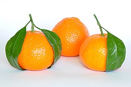 Jeruk Mandarin