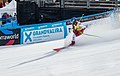 * Nomination Marco Schwarz (AUT), Men's Giant Slalom, 1st run, Grandvalira 2023. --Tournasol7 05:01, 25 April 2023 (UTC) * Promotion  Support Good quality.--Famberhorst 05:10, 25 April 2023 (UTC)