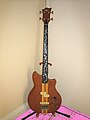 Matao Artist Custom Bass with Vine Inlay front