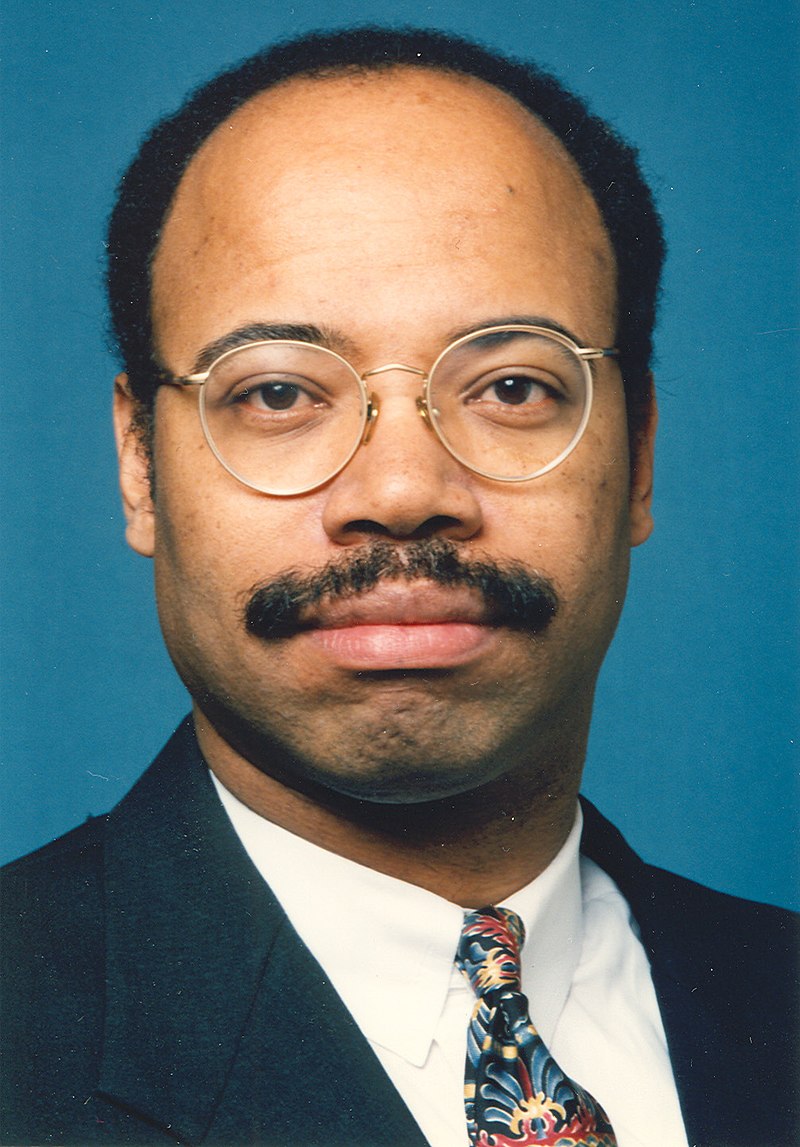 https://upload.wikimedia.org/wikipedia/commons/thumb/4/49/Mel_Reynolds.jpg/800px-Mel_Reynolds.jpg