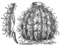 Vorschaubild der Version vom 18:44, 28. Nov. 2011