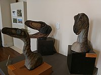 Dinozor kafaları