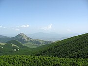 Le faggete del Volturino e il monte Viggiano.