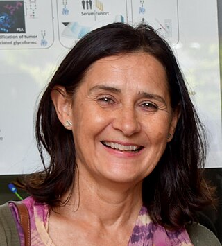 <span class="mw-page-title-main">Montserrat Vilà</span>