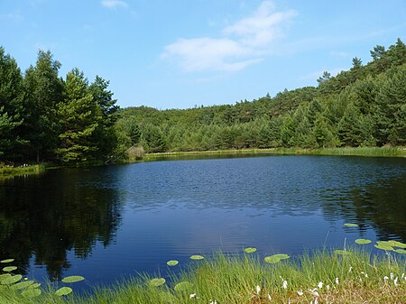 Muemmelkensee