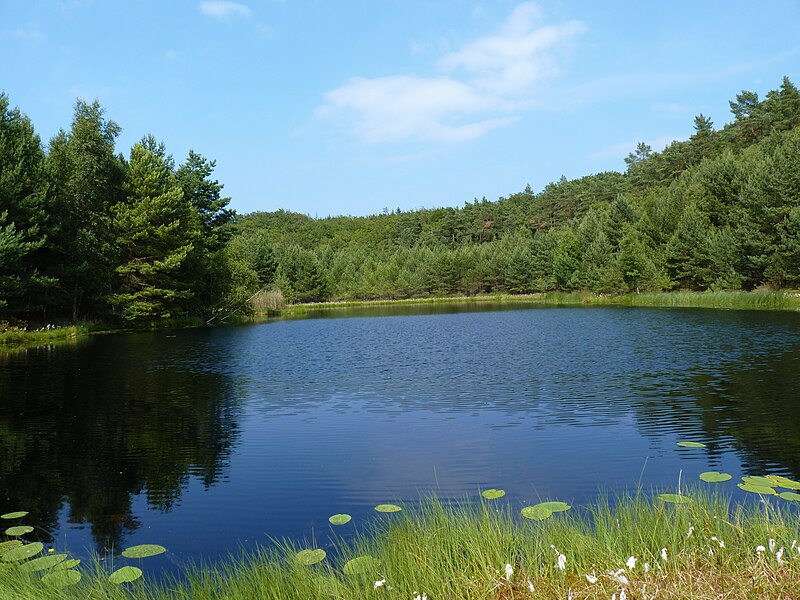 File:Muemmelkensee.jpg