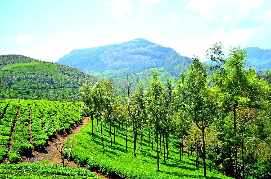 1024px Munnar hill station