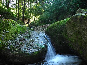 Pesenbachtal nature reserve