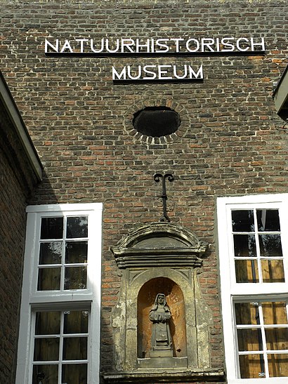 How to get to Natuurhistorisch Museum Maastricht with public transit - About the place