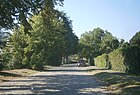 Bitterfelder Weg von Ecke Pirnaer Straße gesehen.