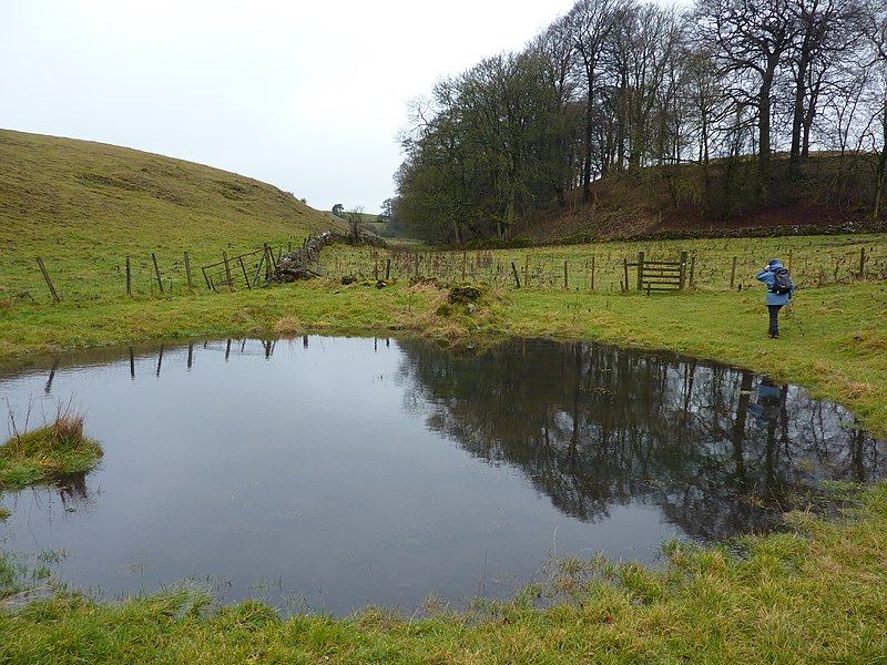 File:New pond at the top of Long Dale - geograph.org.uk - 3270805.jpg