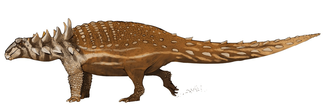 Nodosaurus