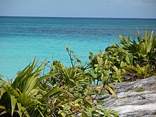 View of ocean from Tulum site