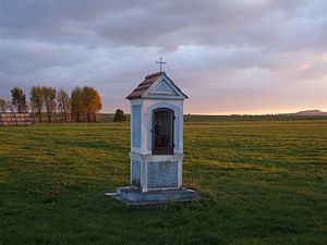 Stšelces apriņķa ainava (Ceļmalas krusts Stšelces gminas Kalinovā)