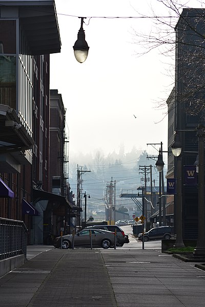 File:On UW Tacoma campus looking south 01.jpg