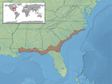 Ophisaurus mimicus distribution.png