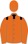 Orange, schwarze Schulterklappen