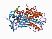 PDB 1a7c EBI.jpg