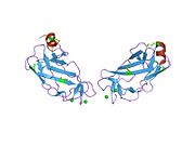 PDB 1eaq EBI.jpg