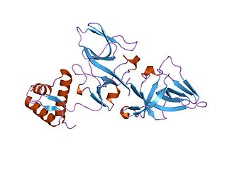 <span class="mw-page-title-main">LexA repressor</span> Prokaryotic protein