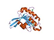 PDB 1oix EBI.jpg