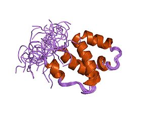 <span class="mw-page-title-main">SWAP protein domain</span>