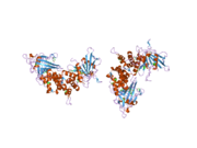 1ygu: ساختار کریستالی دومِـین دوتاییِ فسفاتاز در RPTP CD45 به همراه پپتید pTyr