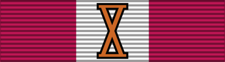 Tập_tin:POL_Medal_Za_Długoletnią_Służbę_Brązowy_BAR.svg