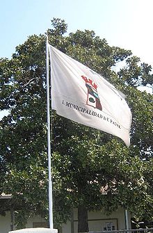 Bandera de la Municipalidad de Paine