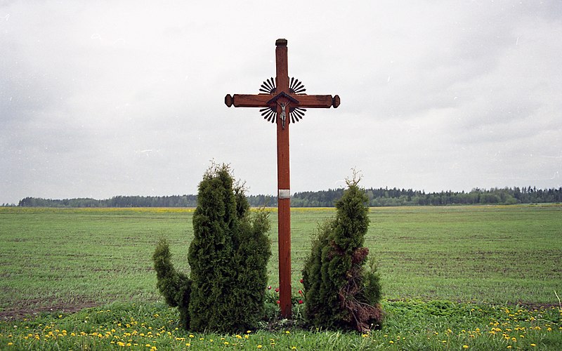 File:Palšių kaimo Gedrimų kryžius 2004.jpg