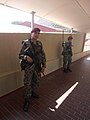 Paratroopers on DSA 2014 (02).JPG