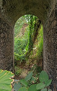 Passageway Parque del Drago Tenerife