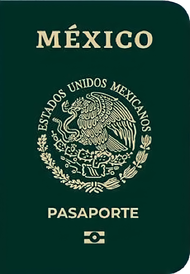 Pasaporte-electronico.png