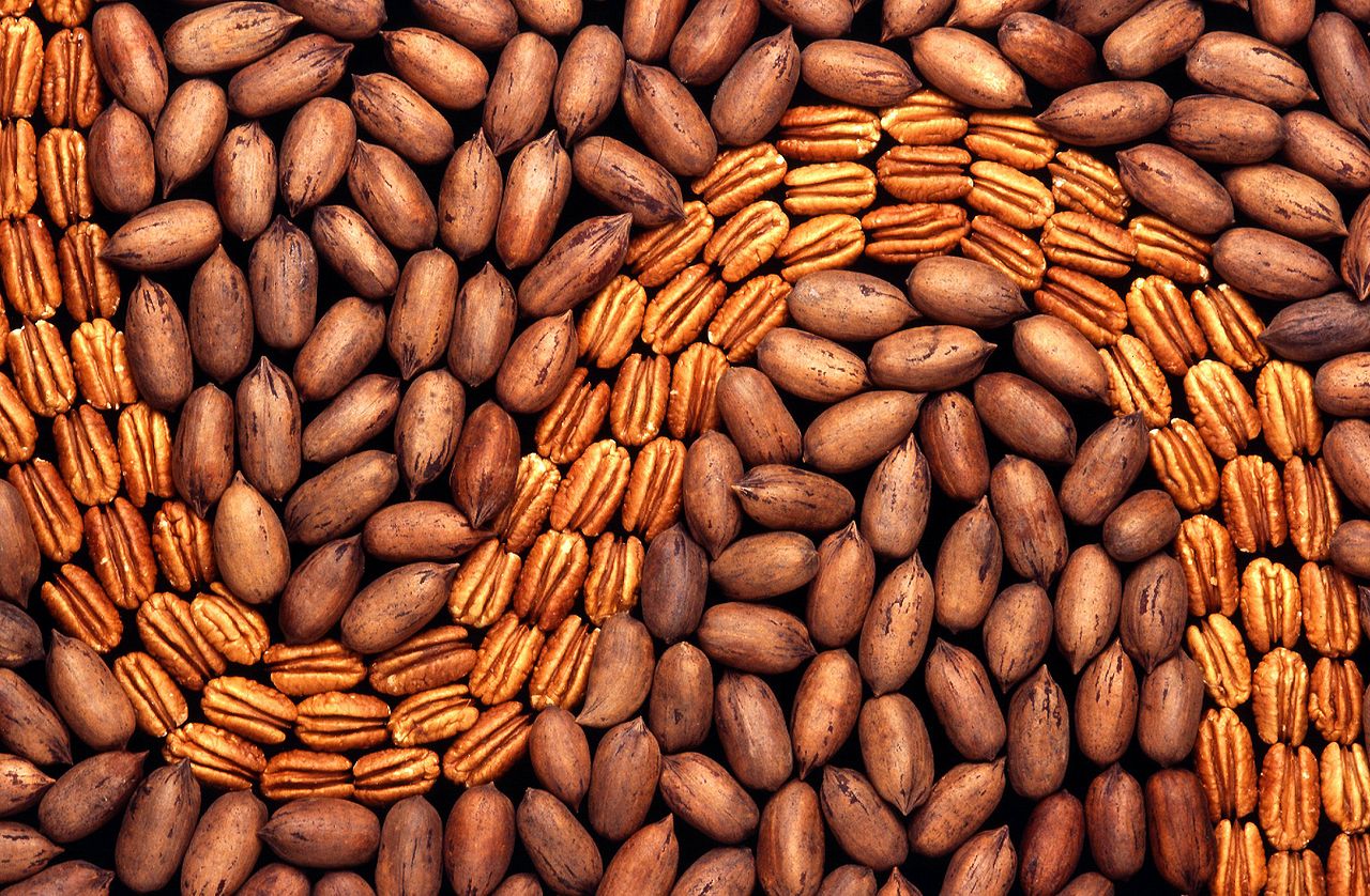 1280px-Pecans.jpg