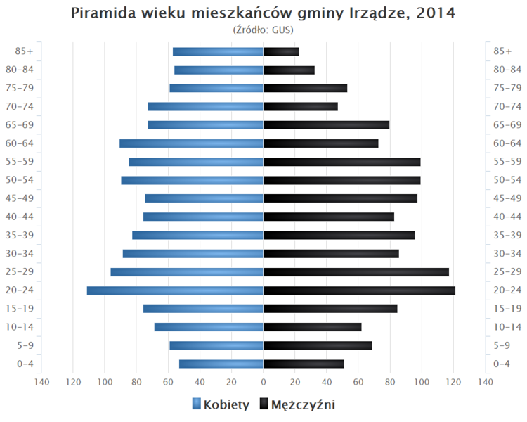 File:Piramida wieku Gmina Irzadze.png