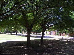 Plaza - panoramio (17).jpg