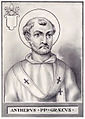 Pope Anterus Illustration.jpg