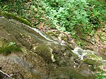 River Cetina, Middle Povlen