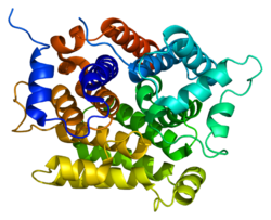 Протеин ADPRHL2 PDB 2foz.png