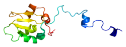 Protein BIRC4 PDB 1c9q.png